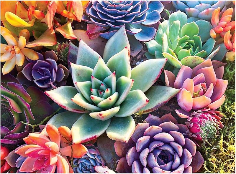 DOTZSO Painting Kits for Adults DIY 5D Round Full Drill Butterfly Flowers Diamond Art Adult 5d Diamond Painting Very Suitable for Home Leisure and Wall Decoration 11.8x15.7 (Inches) https://www.amazon.com/dp/B09FF26874
