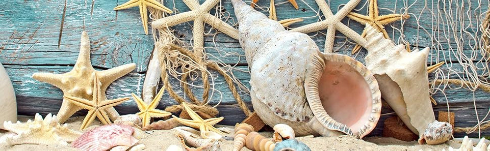 Biuteawal- 3 Piece Canvas Wall Art Starfish Shell on Teal Board Painting Prints Beach Nature Picture Canvas Artwork for Home Kitchen Bathroom Living Room Wall Decor Ready to Hang https://www.amazon.com/dp/B07K6D42KS