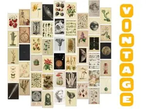 Danish Pastel Room Decor Aesthetic, 50pcs, Wall Decor Posters for Bedroom, Wall Collage Kit Aesthetic Pictures for Dorm Decor for Teen Girls Preppy Stuff https://www.amazon.com/dp/B09NGP2CY6