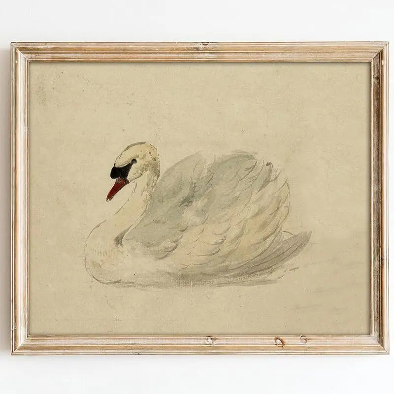Kizbok Vintage Wall Art Decor Classical Swan Canvas Prints Farmhouse Wall Decor Rustic Watercolor Swan Vintage Art Pictures for Bedroom Bathroom Office Decor(8" x 10"-UNFRAMED) https://www.amazon.com/dp/B0CZJTYF34