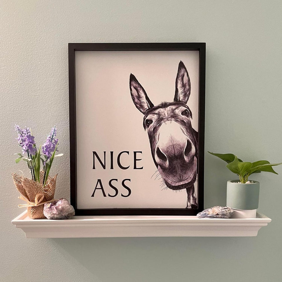 Heiple Framed Bathroom Art Bathroom Wall Decor Farmhouse Home Bathroom Decor Sets Vintage Funny Wall Art Bathroom Signs (11"x14" Black Framed, Donkey) https://www.amazon.com/dp/B0CGRGT7J3