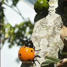 GIFTME 5 Metal Garden Wall Art Decorative Set of 4 Cute Ladybugs Outdoor Wall Sculptures https://www.amazon.com/dp/B07HF2Z653
