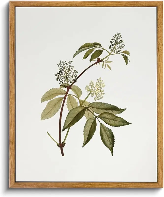 VIYYIEA Vintage Framed Botanical Wall Art Decor, Living Room Bedroom Blue Campanula Pictures Retro Wall Decor, Framed Canvas Prints Artwork, Farmhouse Flower Paintings,12x16 Inch https://www.amazon.com/dp/B0D1K1C7YB