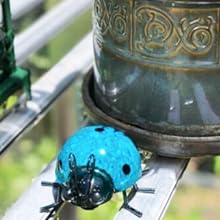 GIFTME 5 Metal Garden Wall Art Decorative Set of 4 Cute Ladybugs Outdoor Wall Sculptures https://www.amazon.com/dp/B07HF2Z653