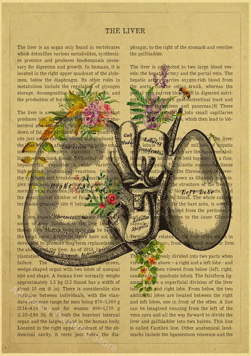 Human Heart/Lungs/Thorax/Cerebrum Anatomy with Flower and Description Posters Prints Retro Home Medical Decor Art Wall Painting June Wall Art