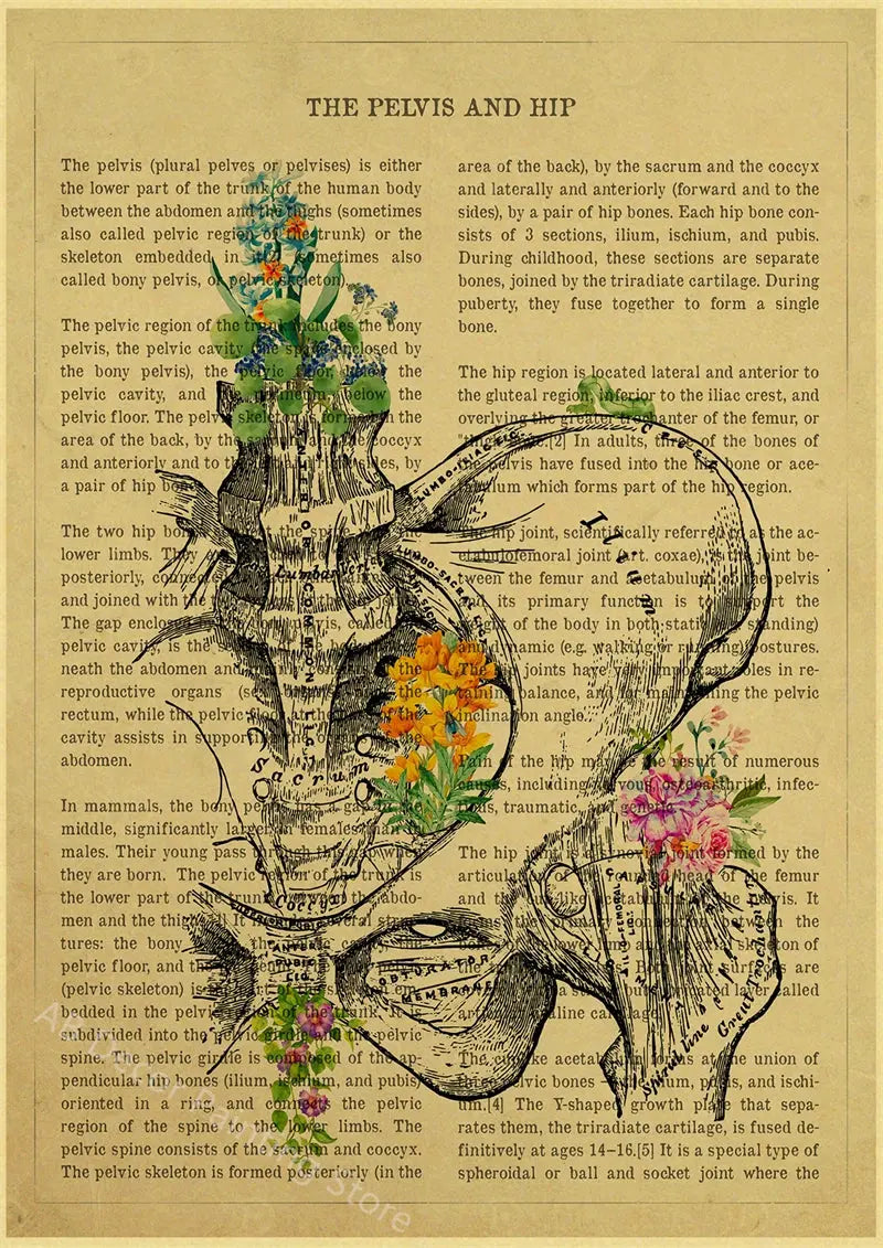 Human Heart/Lungs/Thorax/Cerebrum Anatomy with Flower and Description Posters Prints Retro Home Medical Decor Art Wall Painting June Wall Art