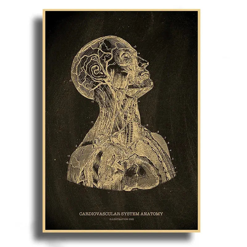 Heart/Skull/Brain Kraft Paper Poster Chalkboard Anatomical Skeleton Vintage Home Room Medicine Decor Medical Art Wall Painting June Wall Art
