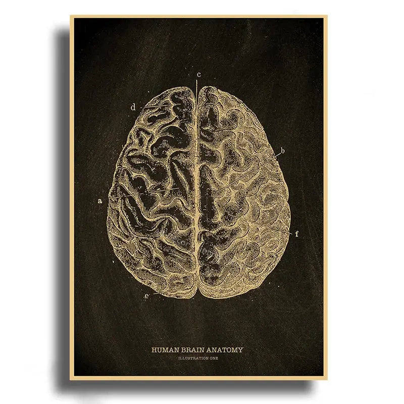 Heart/Skull/Brain Kraft Paper Poster Chalkboard Anatomical Skeleton Vintage Home Room Medicine Decor Medical Art Wall Painting June Wall Art