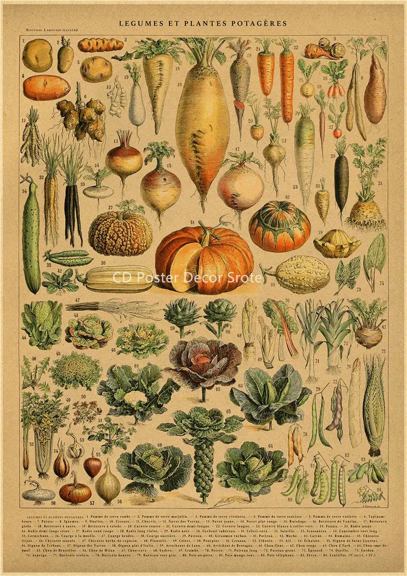 Botanical Illustration Poster Plant Leaf Flower Kraft Paper Posters Vintage Home Room Bar Cafe Decor Aesthetic Art Wall Painting June Wall Art