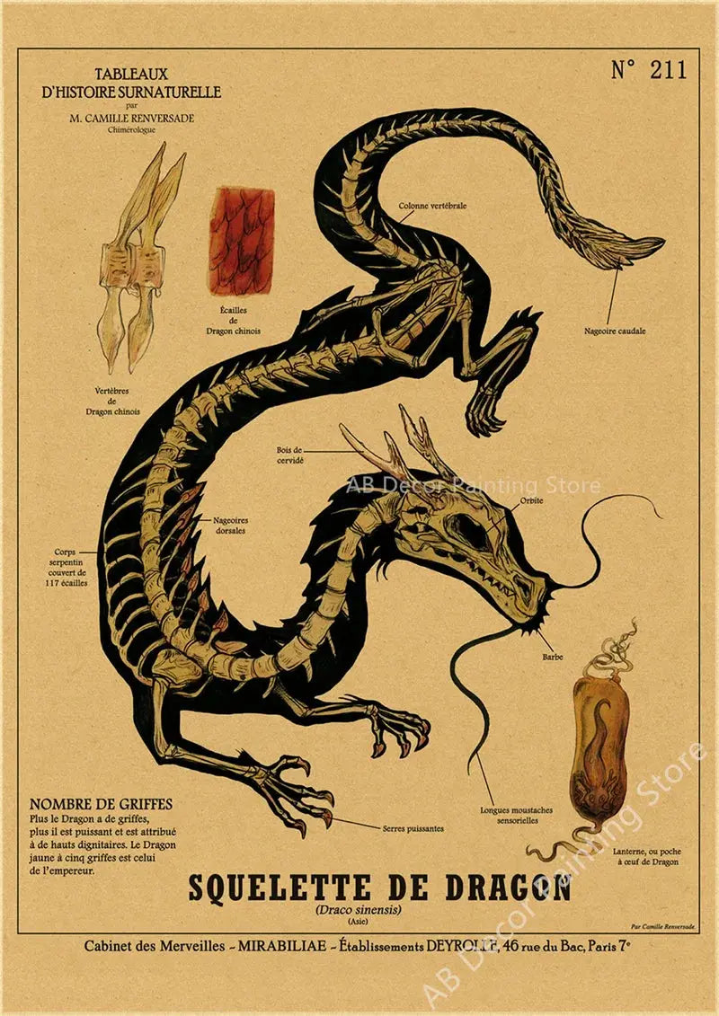 Anatomy of Mermaid Poster Bird Curious Creatures Kraft Paper Prints Vintage Home Room Cafe Bar Art Wall Decor Aesthetic Painting June Wall Art