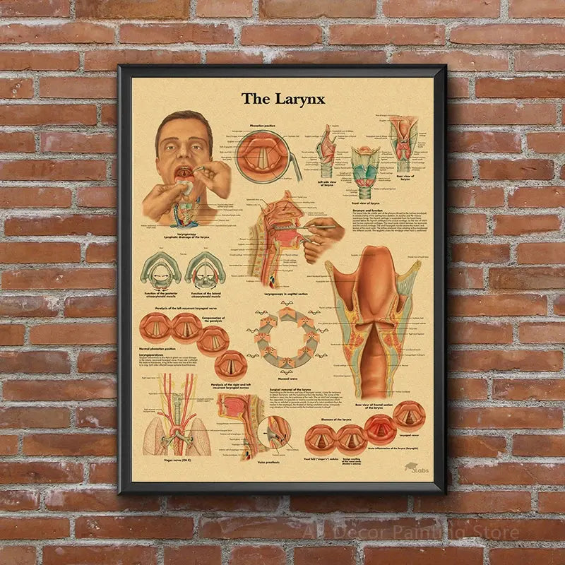 Retro Organ Systems In The Human Body Posters Skeleton Anatomy Kraft Paper Prints DIY Vintage Home Room Art Wall Decor Paintings June Wall Art