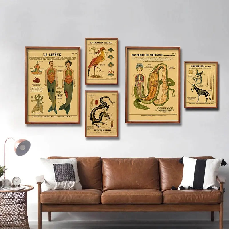 Anatomy of Mermaid Poster Bird Curious Creatures Kraft Paper Prints Vintage Home Room Cafe Bar Art Wall Decor Aesthetic Painting June Wall Art