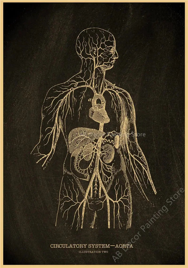 Nostalgic Posters Anatomy Chalkboard Poster Prints Body Parts Heart Hand Foot Drawing Vintage Home Room Art Wall Decor Painting June Wall Art