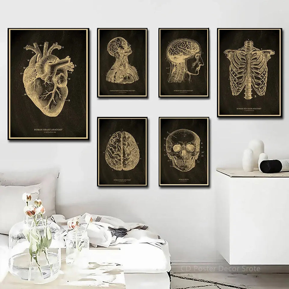 Heart/Skull/Brain Kraft Paper Poster Chalkboard Anatomical Skeleton Vintage Home Room Medicine Decor Medical Art Wall Painting June Wall Art