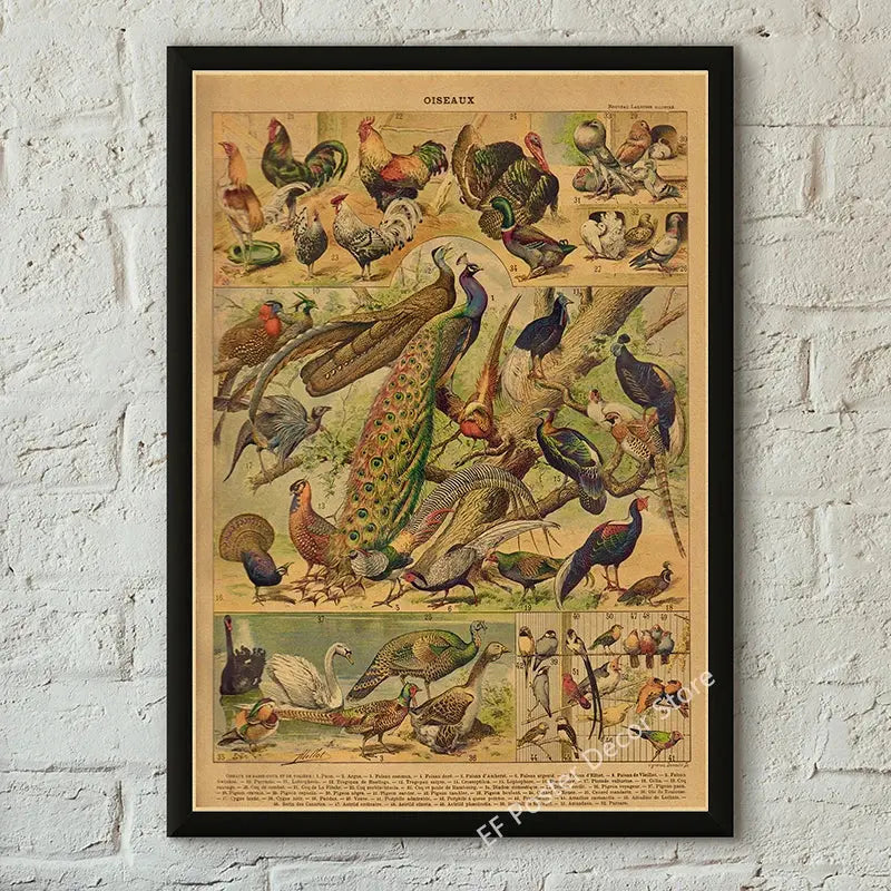 Botanical Art Prints Mushroom Retro Poster Animal/Flower/Plant/Leaf/Butterfly Study Painting Vintage Study Room Home Wall Decor June Wall Art