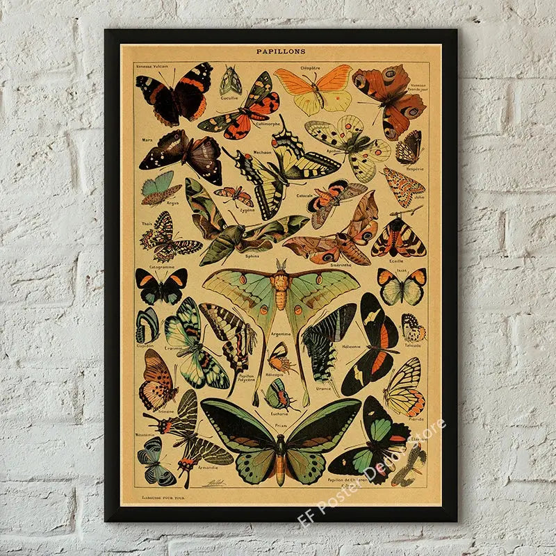 Botanical Art Prints Mushroom Retro Poster Animal/Flower/Plant/Leaf/Butterfly Study Painting Vintage Study Room Home Wall Decor June Wall Art