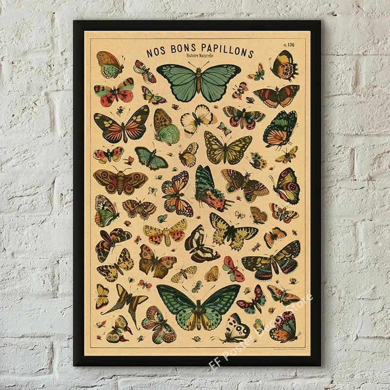 Botanical Art Prints Mushroom Retro Poster Animal/Flower/Plant/Leaf/Butterfly Study Painting Vintage Study Room Home Wall Decor June Wall Art
