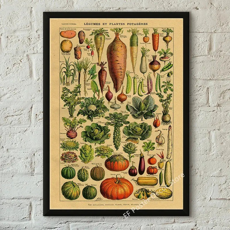 Botanical Art Prints Mushroom Retro Poster Animal/Flower/Plant/Leaf/Butterfly Study Painting Vintage Study Room Home Wall Decor June Wall Art