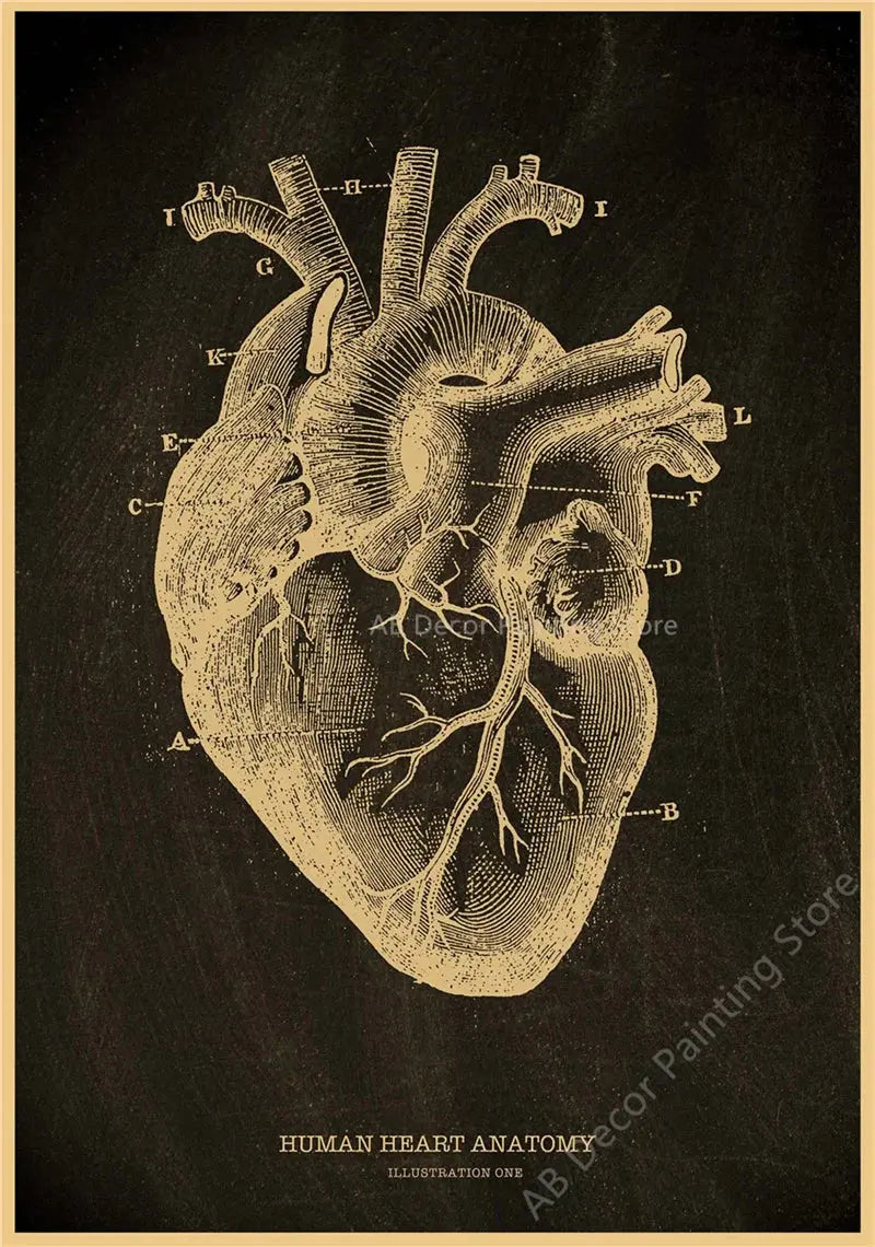 Nostalgic Posters Anatomy Chalkboard Poster Prints Body Parts Heart Hand Foot Drawing Vintage Home Room Art Wall Decor Painting June Wall Art