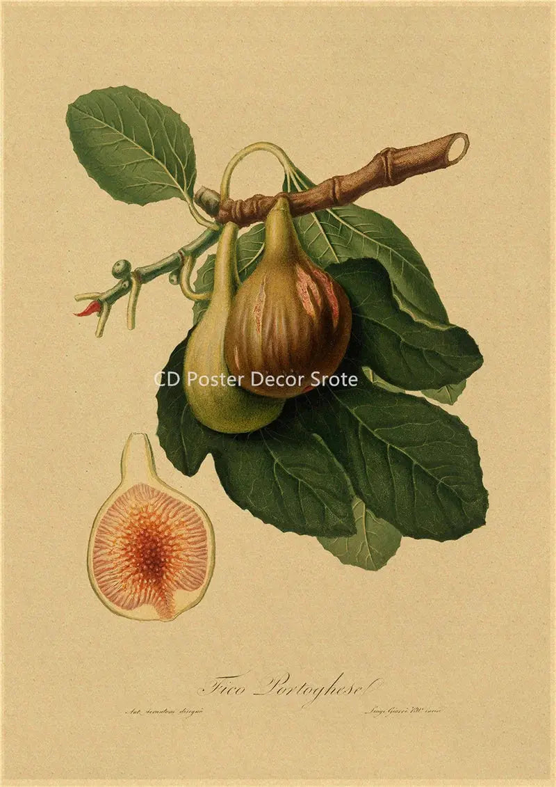 Botanical Illustration Poster Plant Leaf Flower Kraft Paper Posters Vintage Home Room Bar Cafe Decor Aesthetic Art Wall Painting June Wall Art