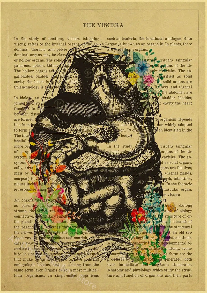 Human Heart/Lungs/Thorax/Cerebrum Anatomy with Flower and Description Posters Prints Retro Home Medical Decor Art Wall Painting June Wall Art