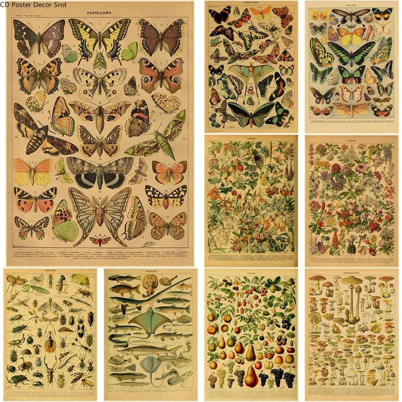 Butterfly Insect Flower Mushroom Poster Botanical Educational Kraft Paper DIY Vintage Home Room Bar Cafe Decor Art Wall Painting June Wall Art