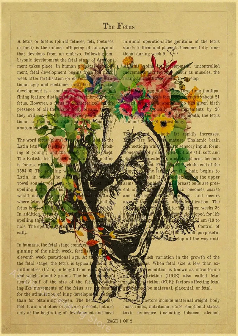 Human Heart/Lungs/Thorax/Cerebrum Anatomy with Flower and Description Posters Prints Retro Home Medical Decor Art Wall Painting June Wall Art