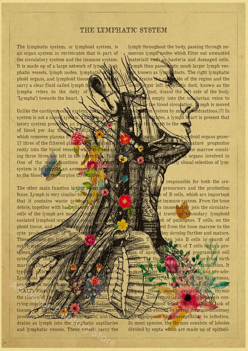Human Heart/Lungs/Thorax/Cerebrum Anatomy with Flower and Description Posters Prints Retro Home Medical Decor Art Wall Painting June Wall Art