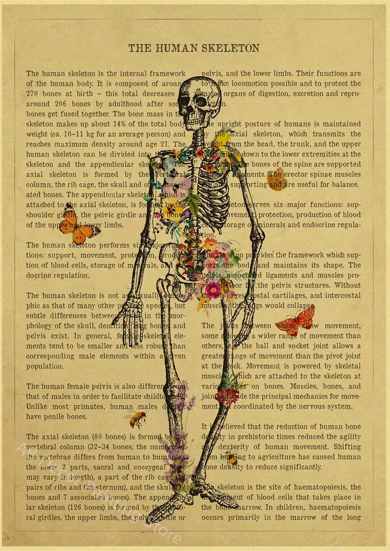 Human Heart/Lungs/Thorax/Cerebrum Anatomy with Flower and Description Posters Prints Retro Home Medical Decor Art Wall Painting June Wall Art