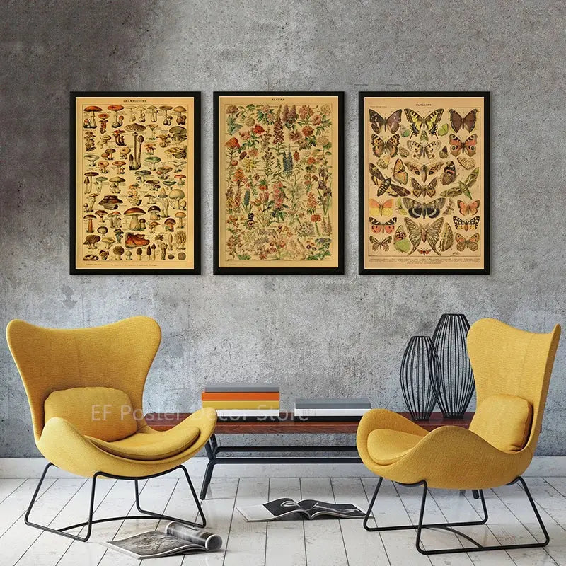 Botanical Art Prints Mushroom Retro Poster Animal/Flower/Plant/Leaf/Butterfly Study Painting Vintage Study Room Home Wall Decor June Wall Art