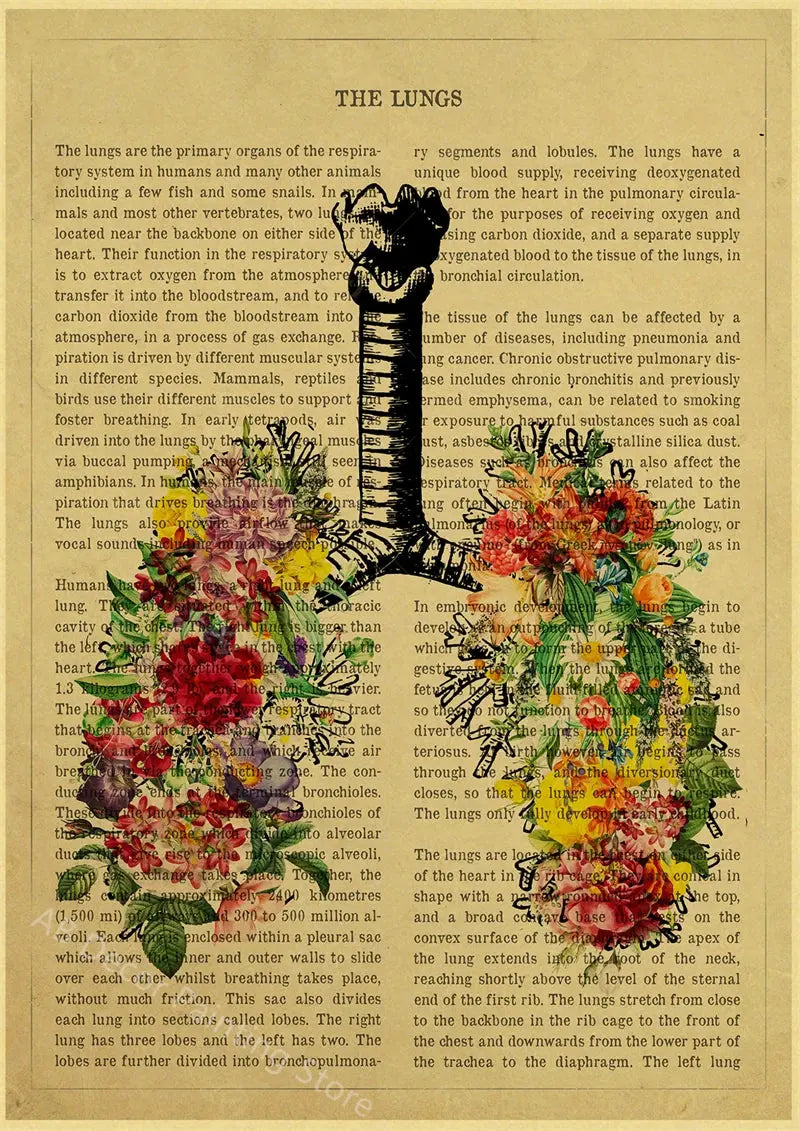 Human Heart/Lungs/Thorax/Cerebrum Anatomy with Flower and Description Posters Prints Retro Home Medical Decor Art Wall Painting June Wall Art