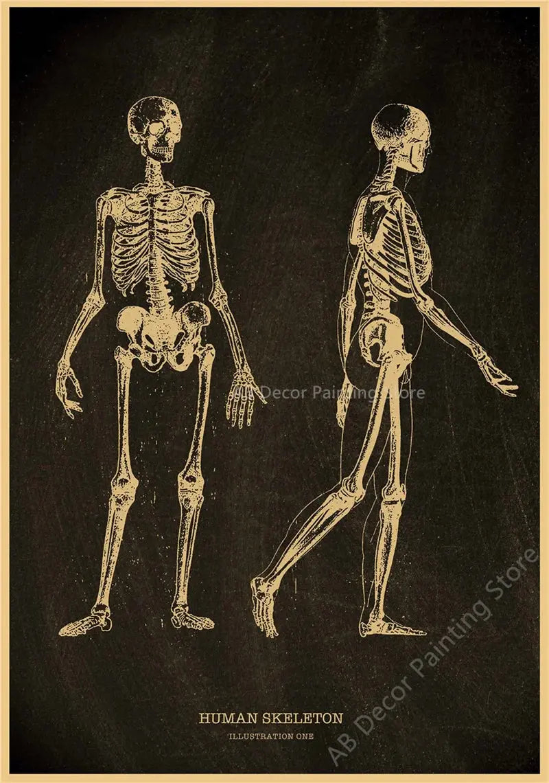 Nostalgic Posters Anatomy Chalkboard Poster Prints Body Parts Heart Hand Foot Drawing Vintage Home Room Art Wall Decor Painting June Wall Art