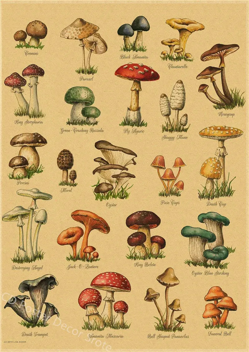 Butterfly Insect Flower Mushroom Poster Botanical Educational Kraft Paper DIY Vintage Home Room Bar Cafe Decor Art Wall Painting June Wall Art