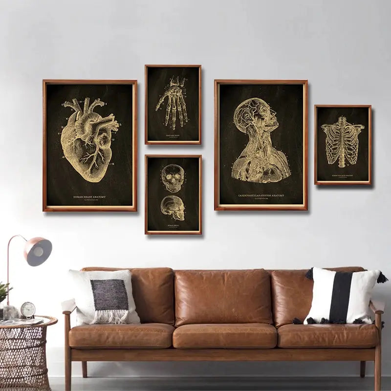 Nostalgic Posters Anatomy Chalkboard Poster Prints Body Parts Heart Hand Foot Drawing Vintage Home Room Art Wall Decor Painting June Wall Art