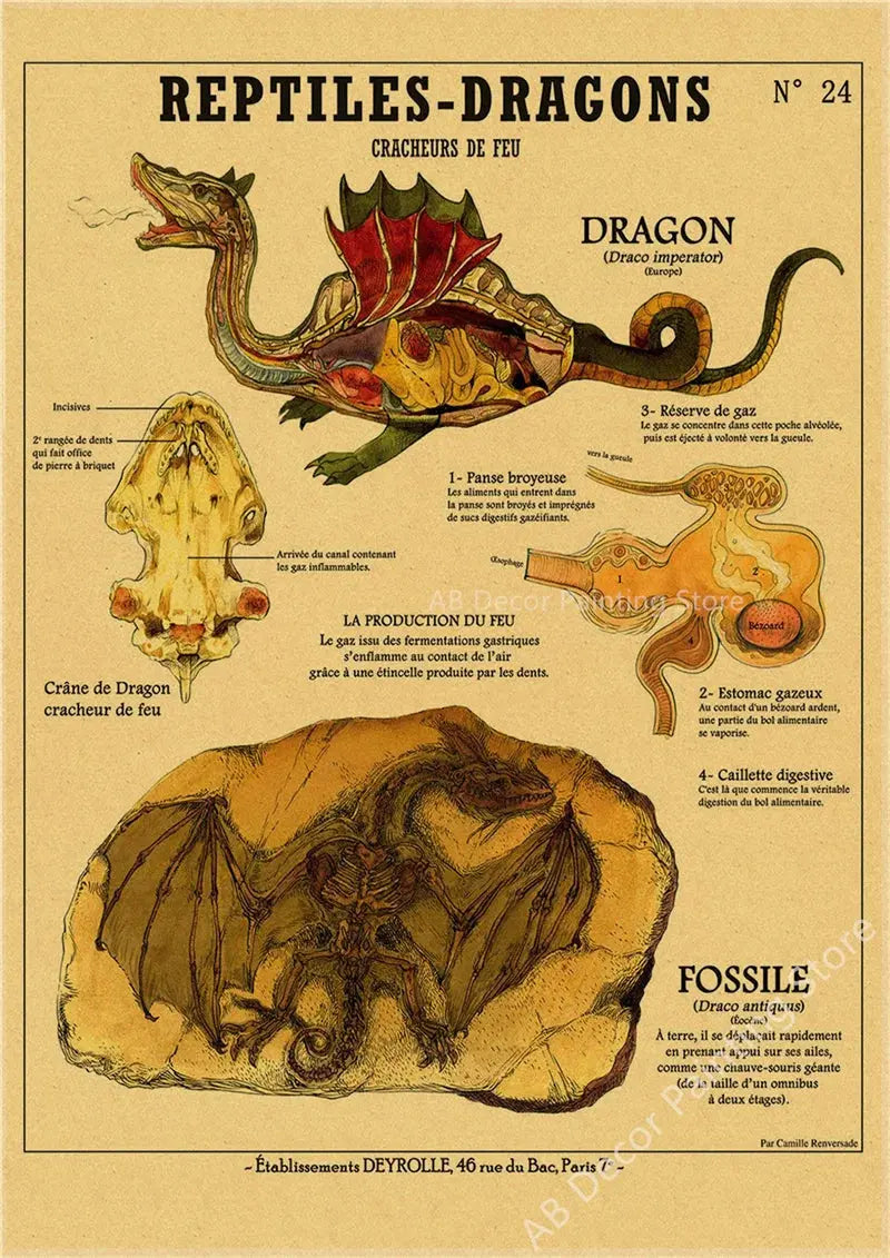 Anatomy of Mermaid Poster Bird Curious Creatures Kraft Paper Prints Vintage Home Room Cafe Bar Art Wall Decor Aesthetic Painting June Wall Art