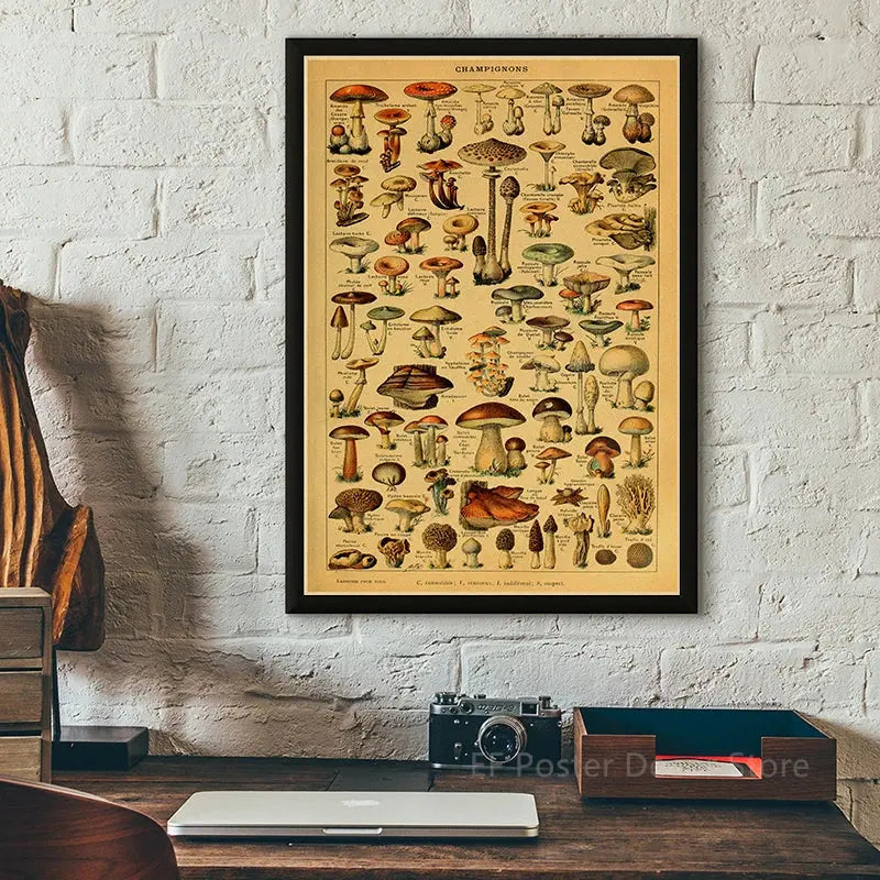 Botanical Art Prints Mushroom Retro Poster Animal/Flower/Plant/Leaf/Butterfly Study Painting Vintage Study Room Home Wall Decor June Wall Art
