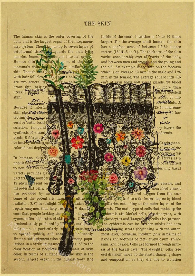 Human Heart/Lungs/Thorax/Cerebrum Anatomy with Flower and Description Posters Prints Retro Home Medical Decor Art Wall Painting June Wall Art