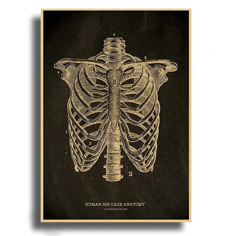 Heart/Skull/Brain Kraft Paper Poster Chalkboard Anatomical Skeleton Vintage Home Room Medicine Decor Medical Art Wall Painting June Wall Art