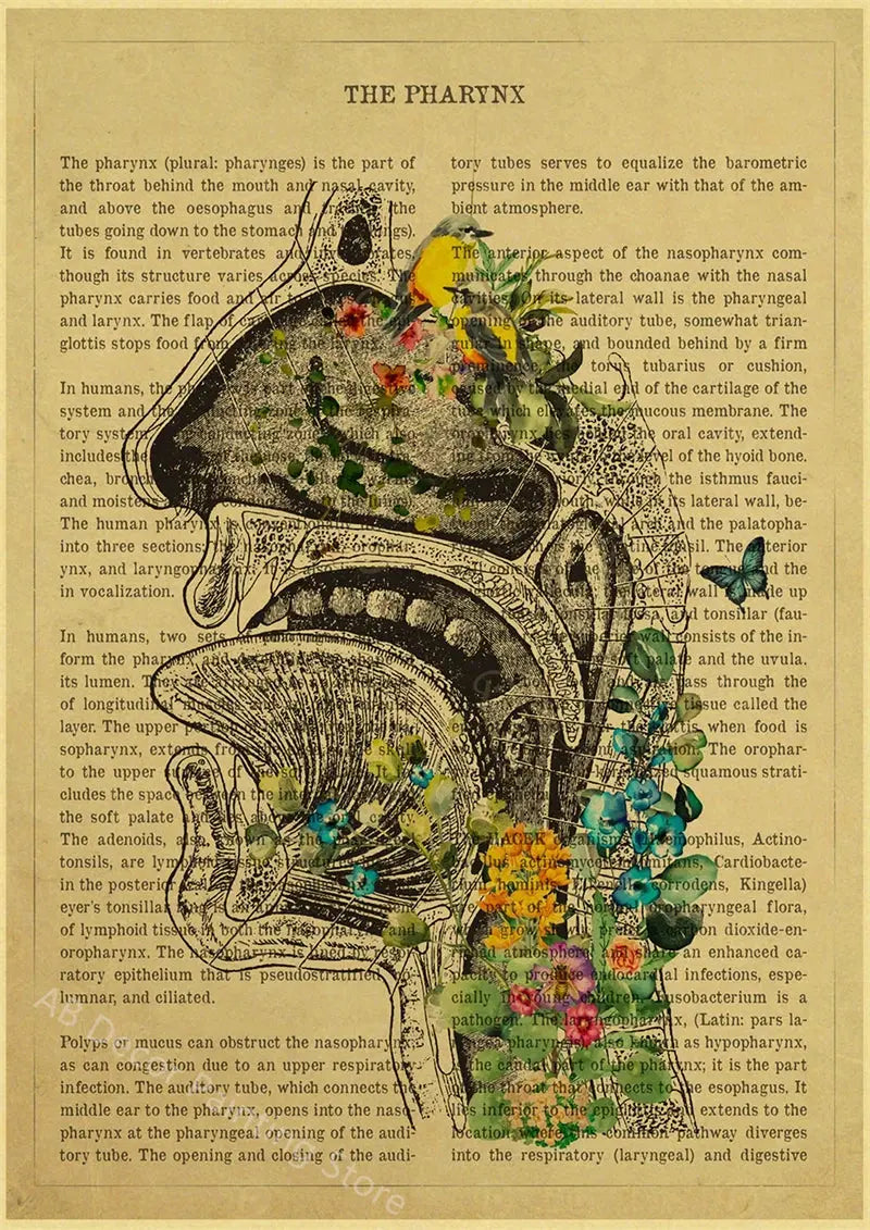 Human Heart/Lungs/Thorax/Cerebrum Anatomy with Flower and Description Posters Prints Retro Home Medical Decor Art Wall Painting June Wall Art