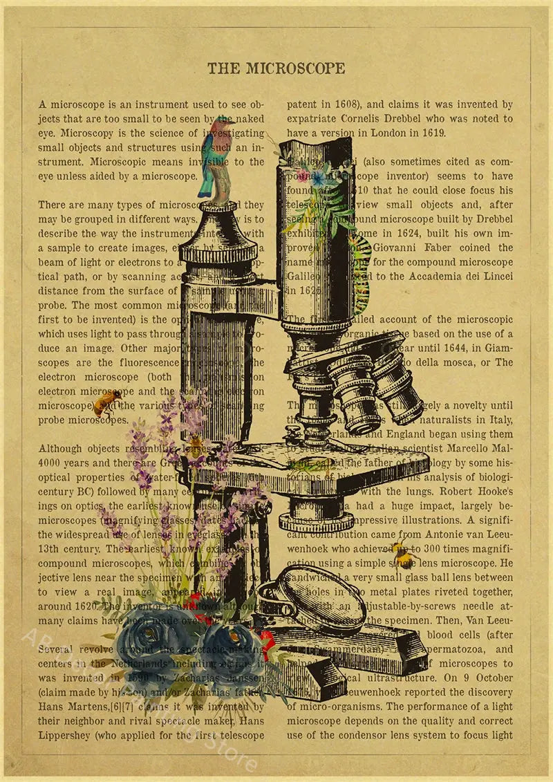 Human Heart/Lungs/Thorax/Cerebrum Anatomy with Flower and Description Posters Prints Retro Home Medical Decor Art Wall Painting June Wall Art