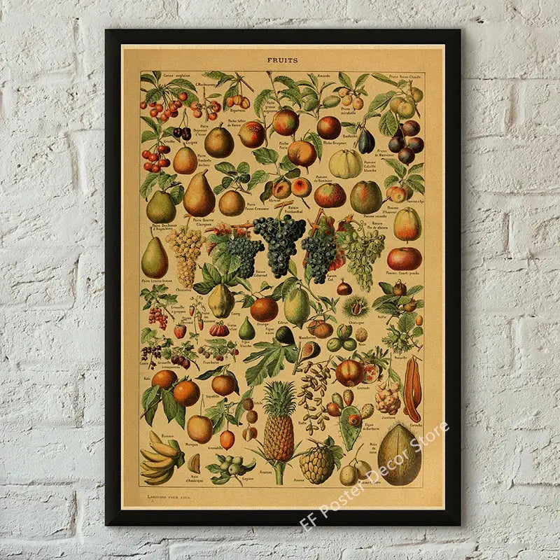 Botanical Art Prints Mushroom Retro Poster Animal/Flower/Plant/Leaf/Butterfly Study Painting Vintage Study Room Home Wall Decor June Wall Art