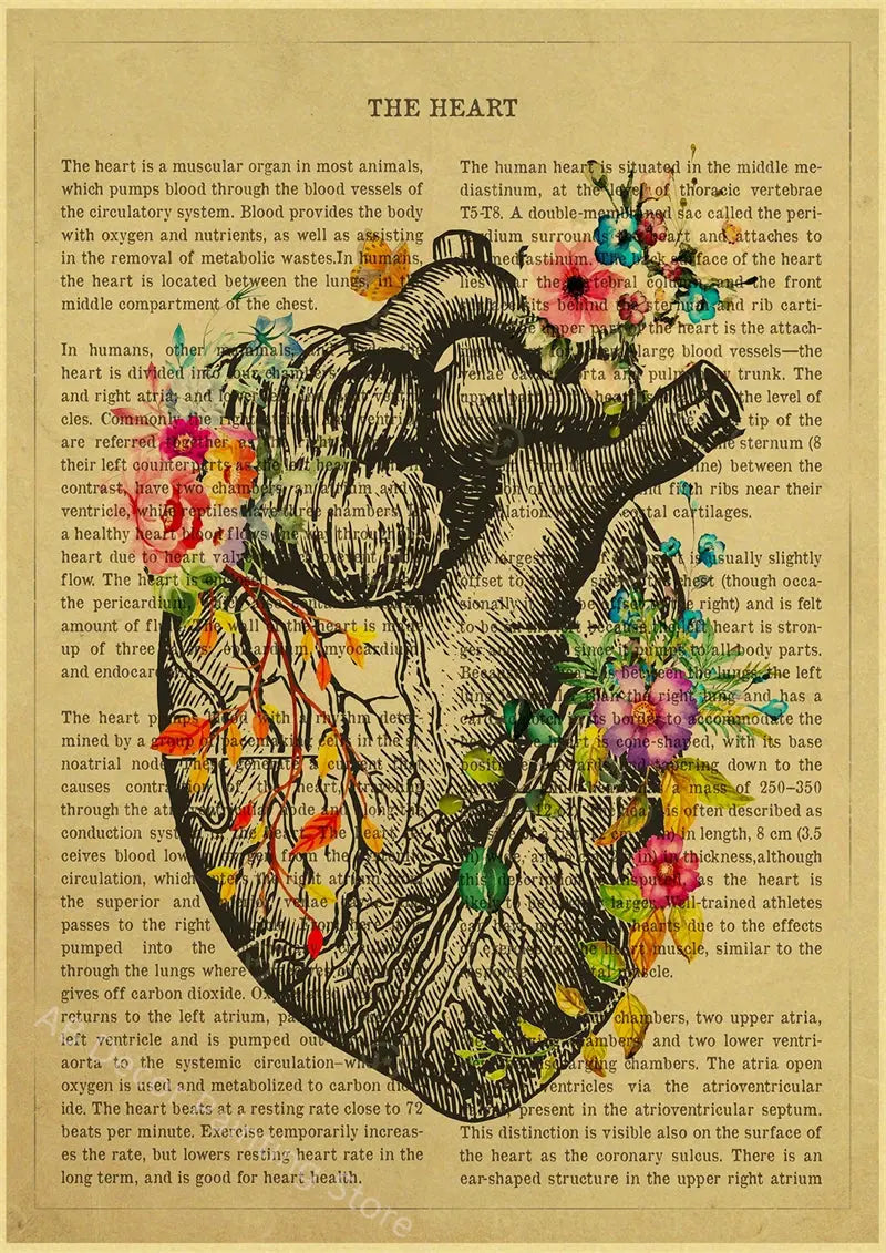 Human Heart/Lungs/Thorax/Cerebrum Anatomy with Flower and Description Posters Prints Retro Home Medical Decor Art Wall Painting June Wall Art