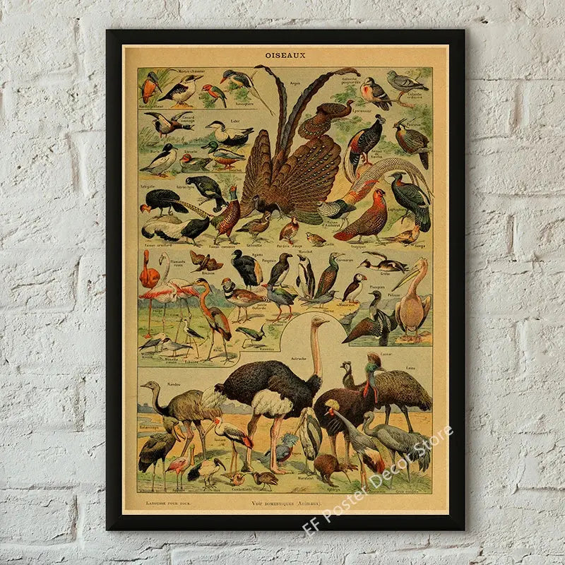 Botanical Art Prints Mushroom Retro Poster Animal/Flower/Plant/Leaf/Butterfly Study Painting Vintage Study Room Home Wall Decor June Wall Art