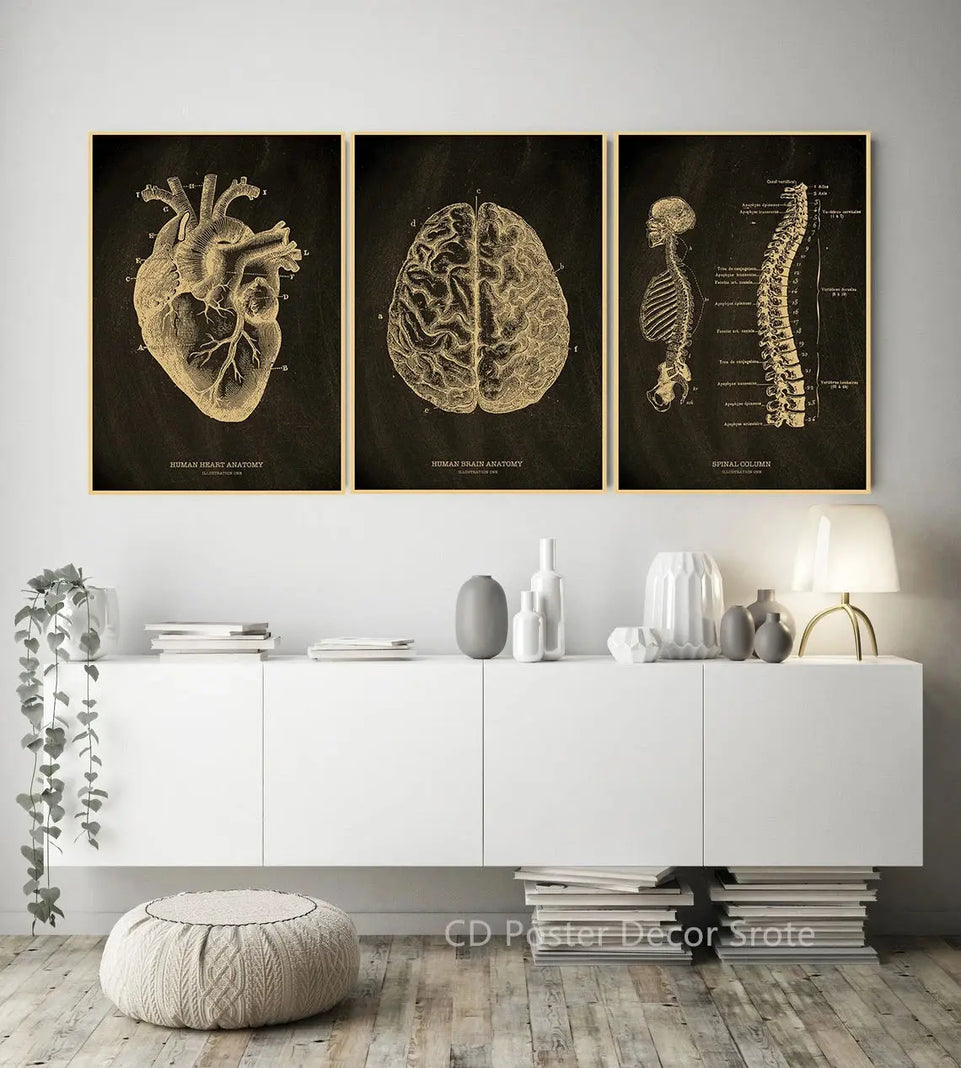 Heart/Skull/Brain Kraft Paper Poster Chalkboard Anatomical Skeleton Vintage Home Room Medicine Decor Medical Art Wall Painting June Wall Art