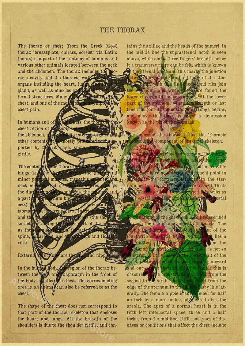 Human Heart/Lungs/Thorax/Cerebrum Anatomy with Flower and Description Posters Prints Retro Home Medical Decor Art Wall Painting June Wall Art