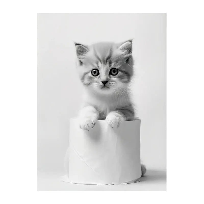 Cute Animals Toilet Paper Living Room Murals Wall Art Poster Otter Cat Tiger Canvas Painting Funny Bathroom Bathroom Home Decor June Wall Art