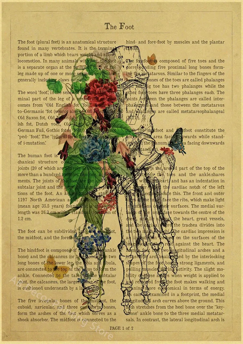 Human Heart/Lungs/Thorax/Cerebrum Anatomy with Flower and Description Posters Prints Retro Home Medical Decor Art Wall Painting June Wall Art