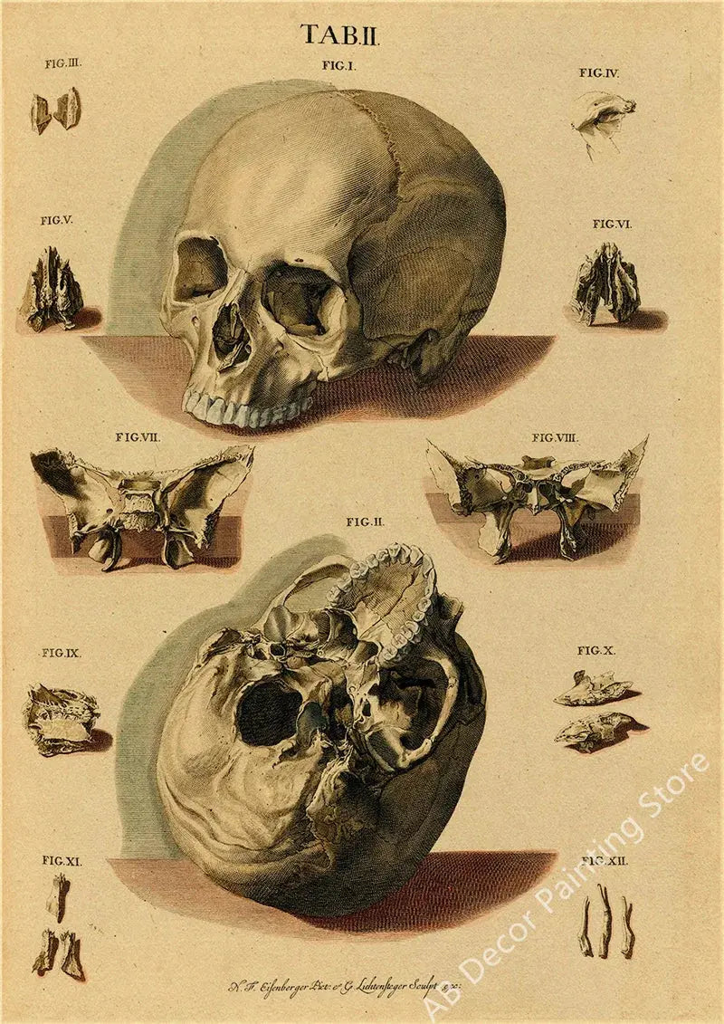 Retro Organ Systems In The Human Body Posters Skeleton Anatomy Kraft Paper Prints DIY Vintage Home Room Art Wall Decor Paintings June Wall Art