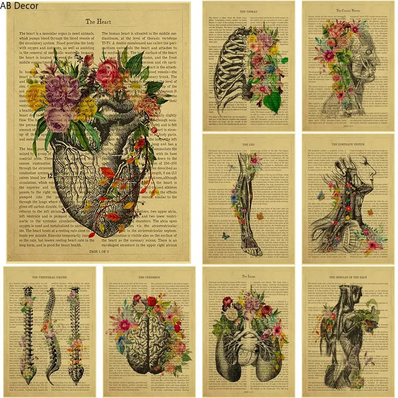 Human Heart/Lungs/Thorax/Cerebrum Anatomy with Flower and Description Posters Prints Retro Home Medical Decor Art Wall Painting June Wall Art