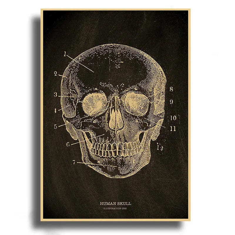 Heart/Skull/Brain Kraft Paper Poster Chalkboard Anatomical Skeleton Vintage Home Room Medicine Decor Medical Art Wall Painting June Wall Art
